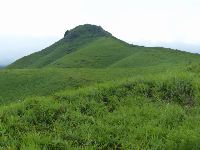 f0357487_15582586.jpg