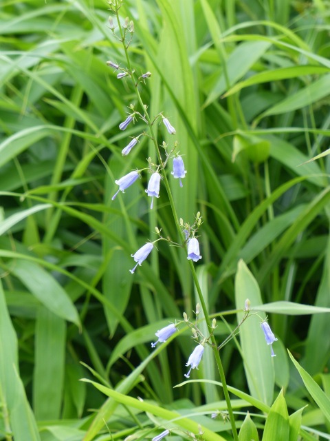 f0357487_1611892.jpg
