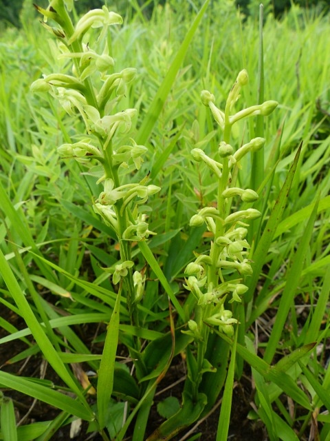 f0357487_16134487.jpg