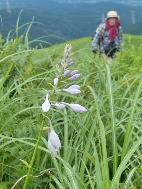 f0357487_1613929.jpg
