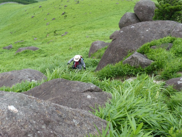 f0357487_1621666.jpg