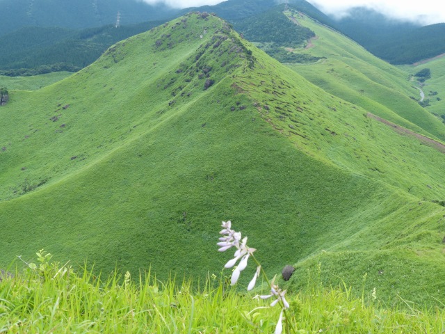 f0357487_1643657.jpg