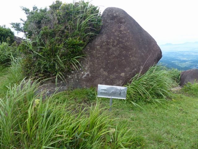 f0357487_1672719.jpg
