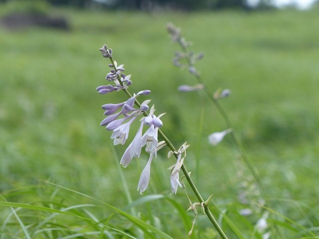 f0357487_1675238.jpg