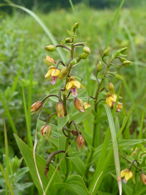 f0357487_1683341.jpg