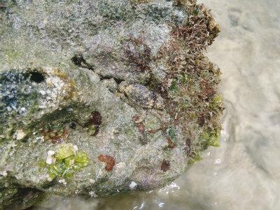 f0338188_1724731.jpg