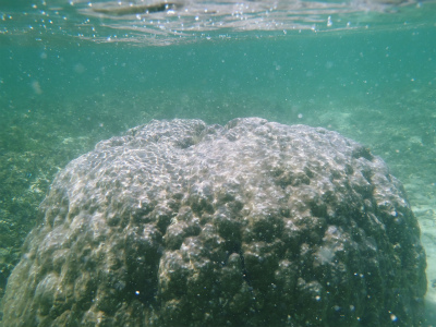 f0338188_1755538.jpg