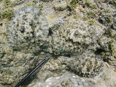 f0338188_1852712.jpg