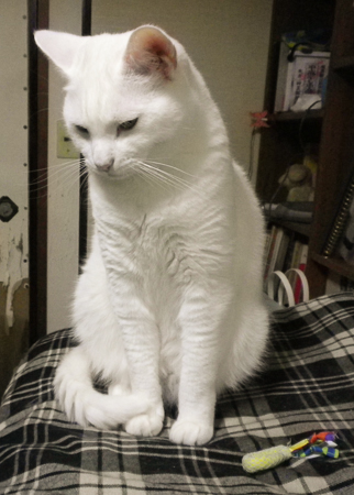 f0239100_0475269.jpg