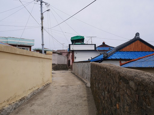 a0140305_0582897.jpg