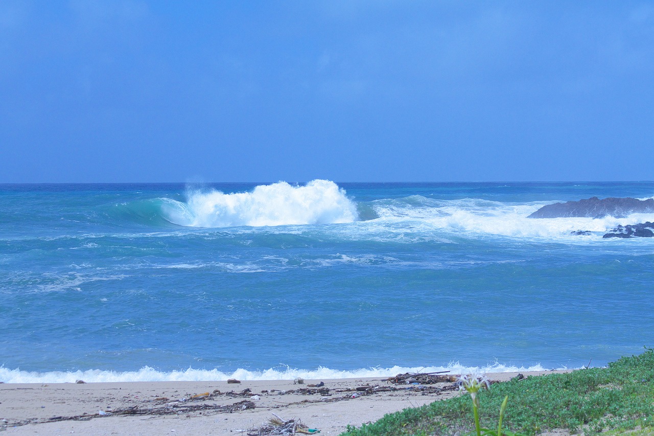b0174905_755980.jpg