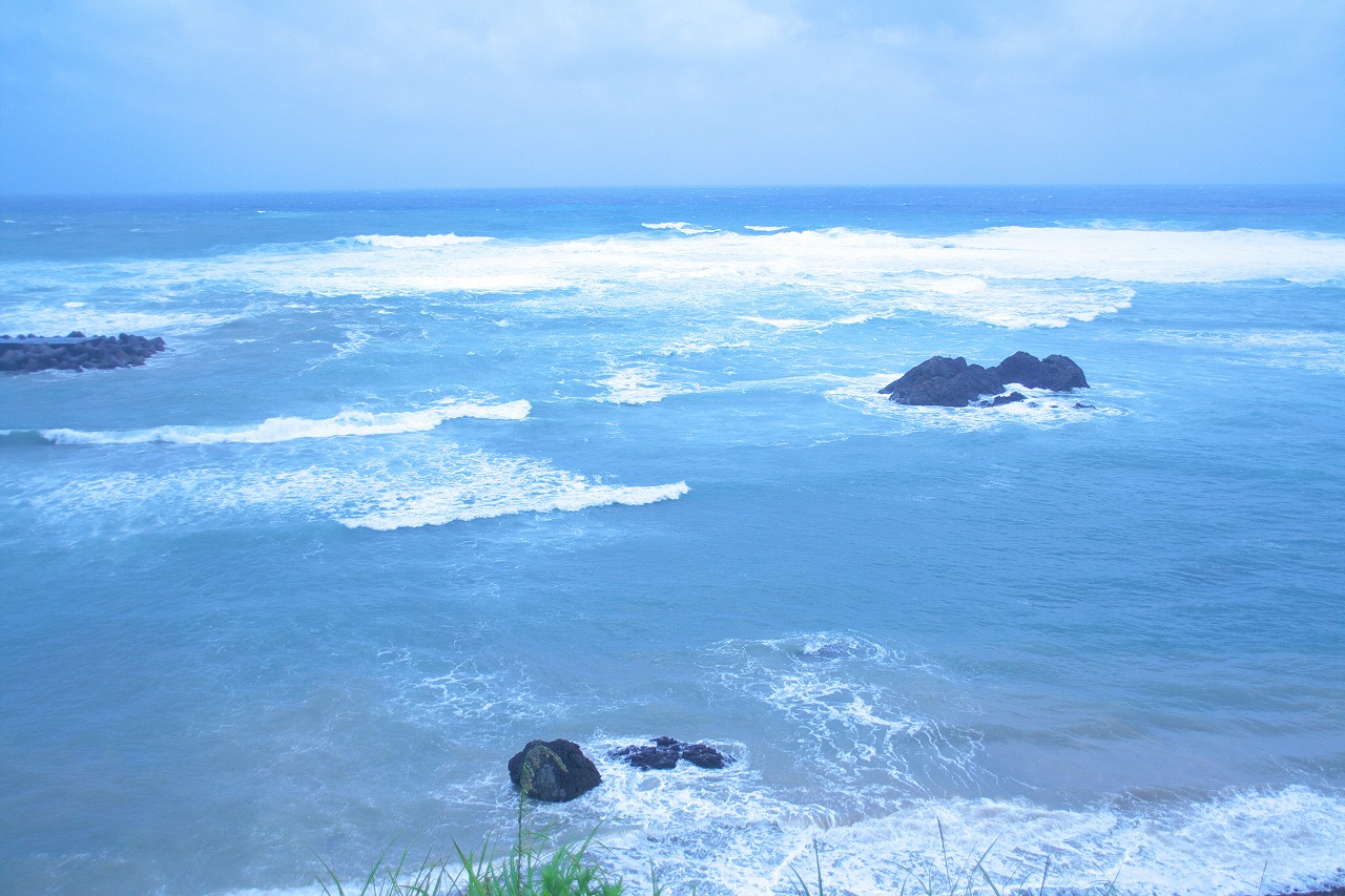 b0174905_7565075.jpg