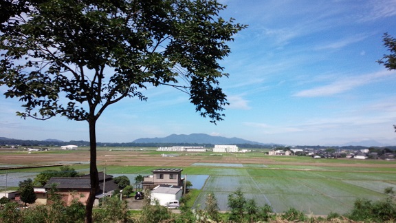 a0156611_850161.jpg