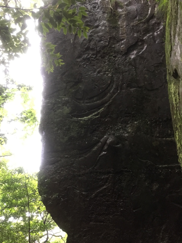 f0225414_2340592.jpg