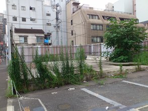 d0106518_20404168.jpg