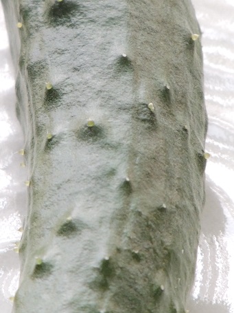 f0150620_12132422.jpg