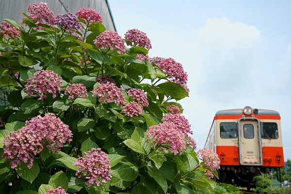 f0037227_23534760.jpg