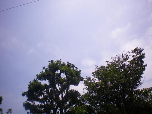 b0224728_1134691.jpg