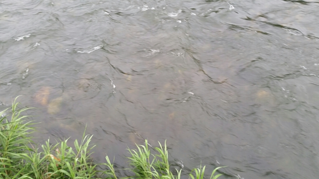 c0266737_09041782.jpg