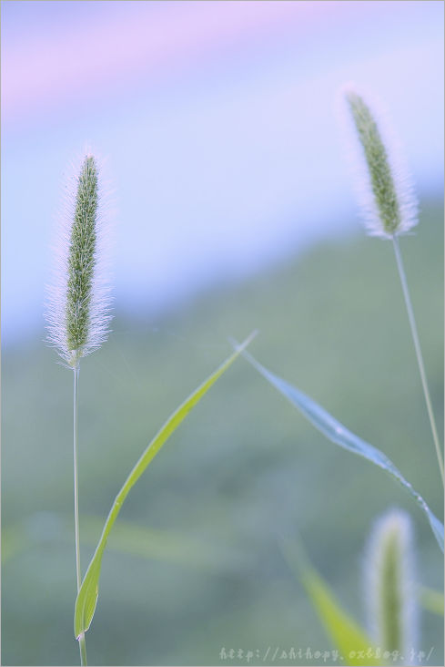 e0011137_21492912.jpg