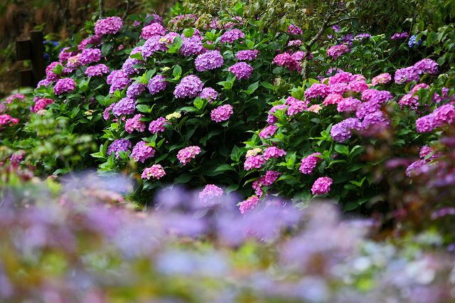 a0242438_19505415.jpg