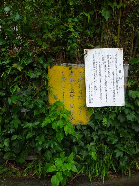 a0087341_22371738.jpg