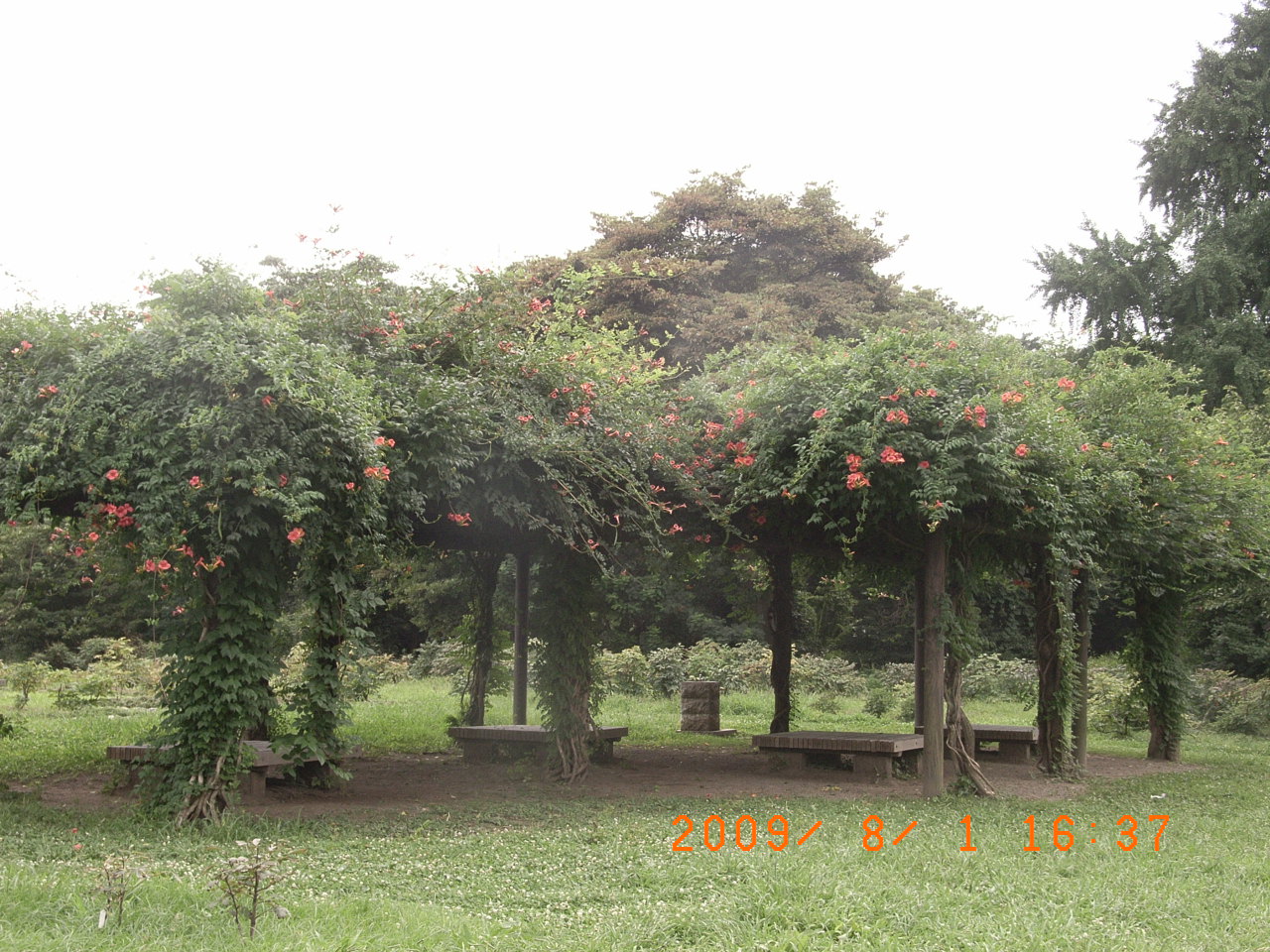 f0257756_2162640.jpg