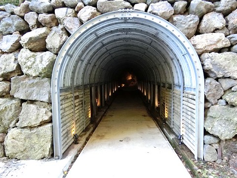 d0029363_15345597.jpg