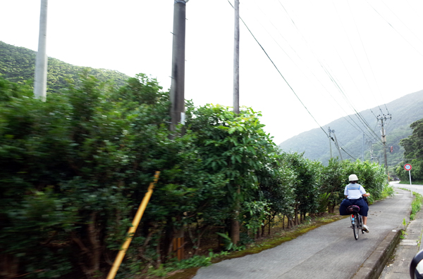 c0048265_1733684.jpg