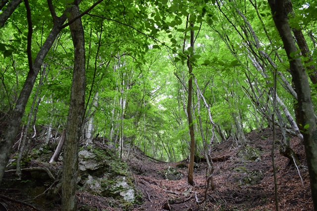 f0342371_2214279.jpg