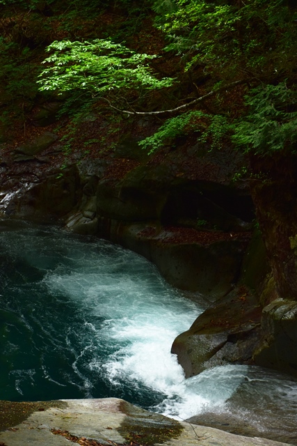 f0342371_22212615.jpg