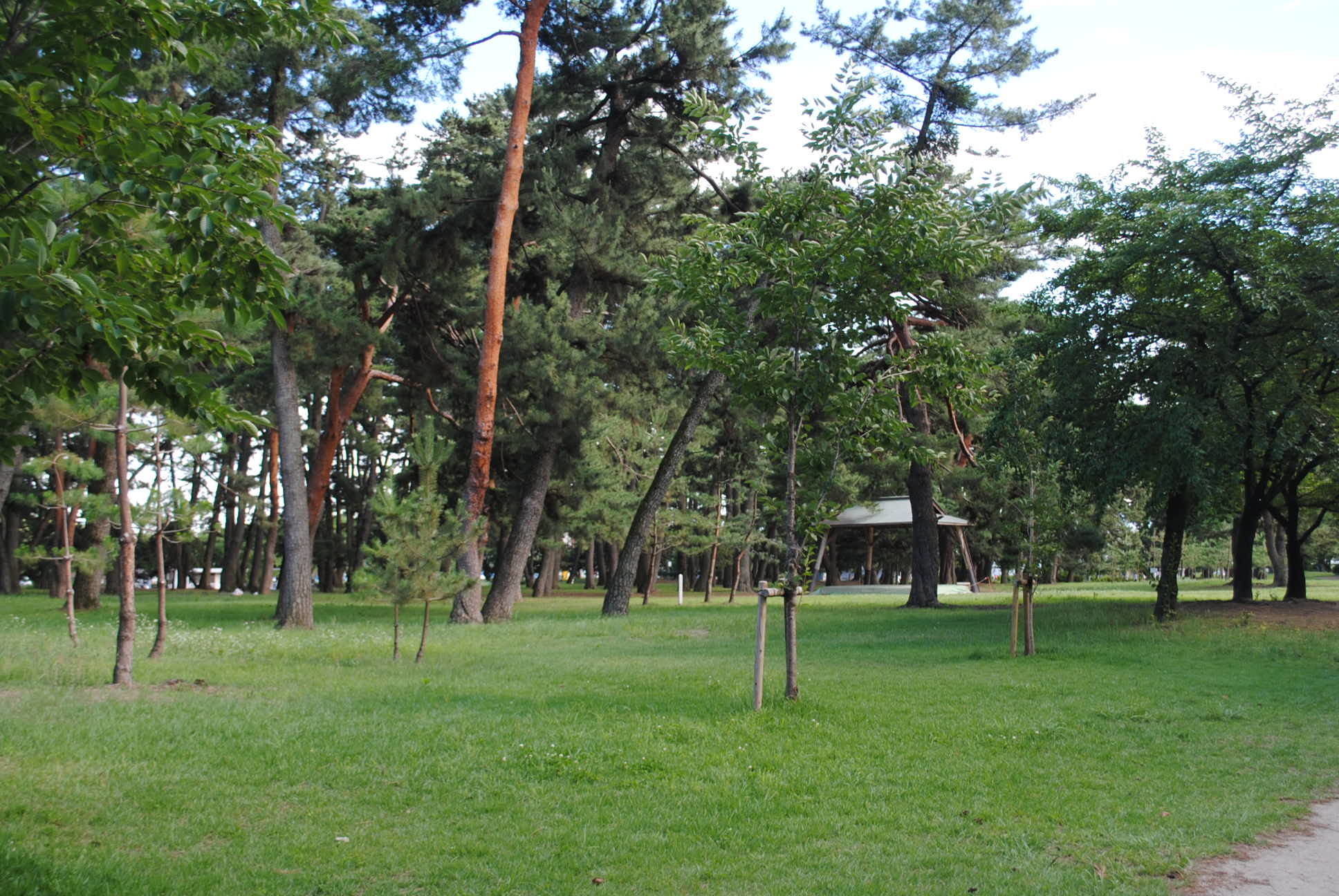b0242873_12391439.jpg