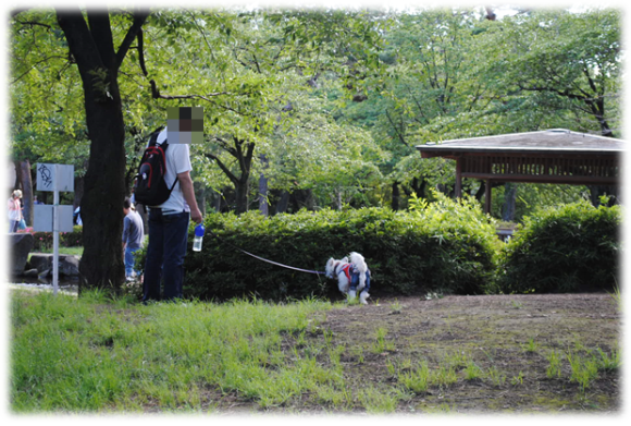 b0242873_12461935.png