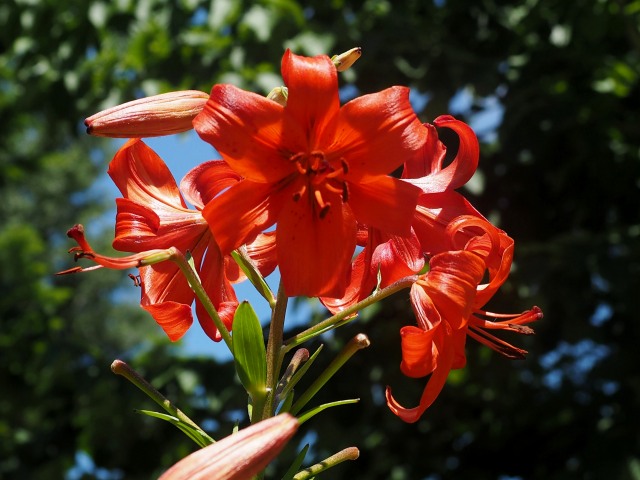 c0183777_7493122.jpg