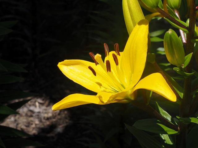 c0183777_8304787.jpg