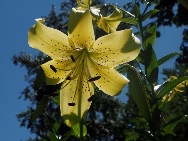 c0183777_8402577.jpg