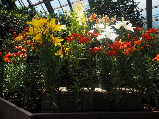 c0183777_90697.jpg