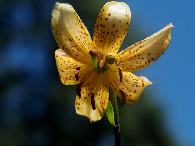 c0183777_9172693.jpg