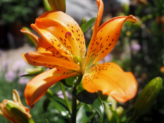 c0183777_9174434.jpg