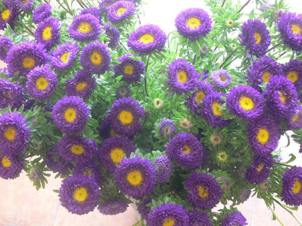 e0140986_15164791.jpg