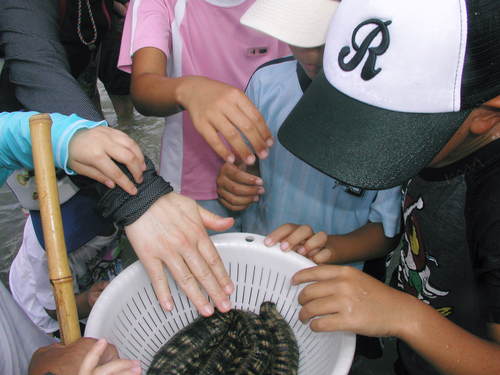 f0338188_169015.jpg