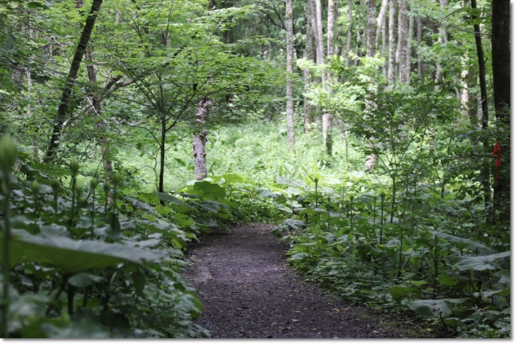f0146493_21171791.jpg