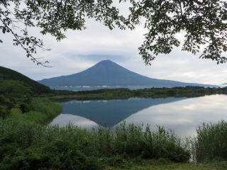 d0160611_18211911.jpg