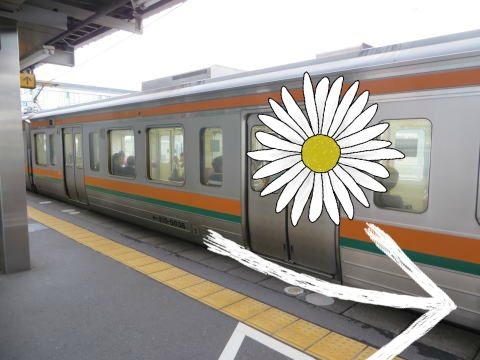 d0160611_20503062.jpg
