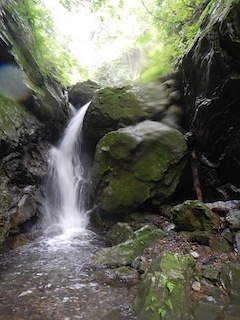 c0359615_20581539.jpg