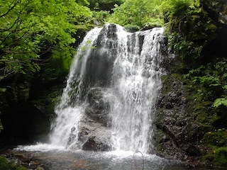 c0359615_20584806.jpg
