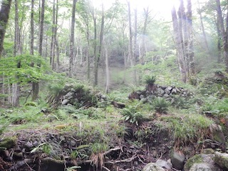 c0359615_21000565.jpg