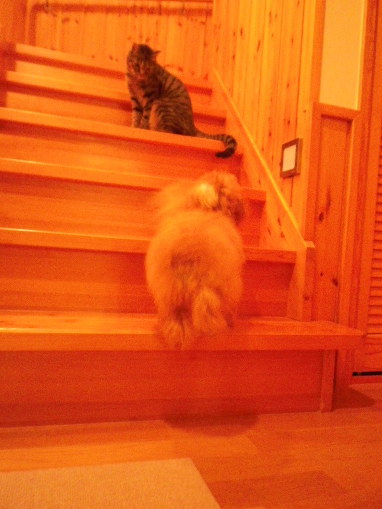 e0052716_12112381.jpg