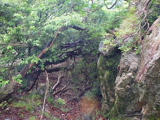 f0193521_15583061.jpg