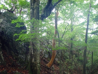 f0193521_155908.jpg
